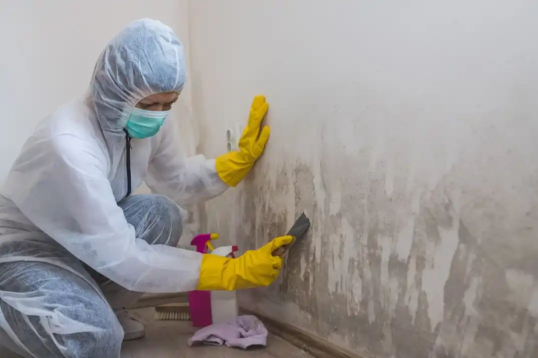 water damage restoration service Linwood